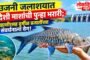 निंबोडीचा वीजपुरवठा सुरळीत; लोकव्हिजन न्यूजच्या बातमीला यश!